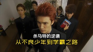 杀马特的逆袭：从不良少年到学霸之路《数学的黄昏》