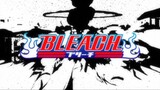 Bleach (Eng Dub) Episode 284