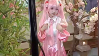 Masa kecil siapa yang kembali! ! Sakura Hatsune karena informasi menarik】