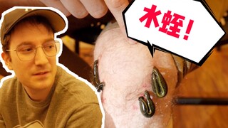 他用水蛭吸了我好多血！这是什么奇葩疗法？