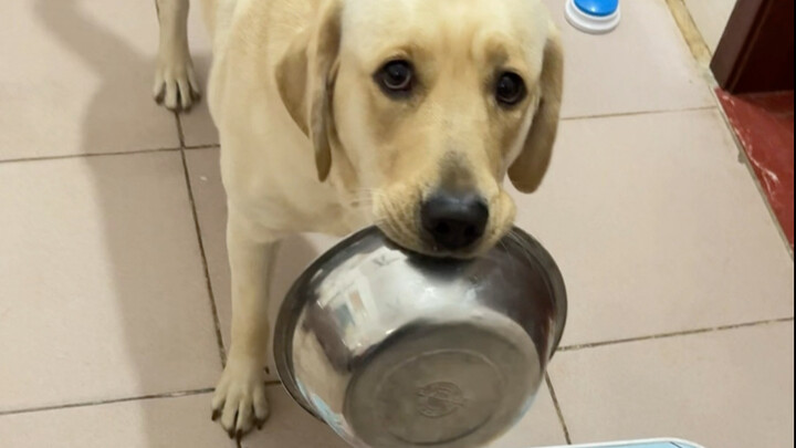 Quá nhanh, đến cả việc dẫn trước một bước cũng không làm được.