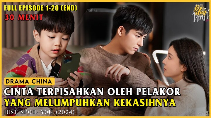 Dipersatukan Kembali Oleh Rasa Cinta & Kehadiran Seorang Anak Yang Imut | Alur Cerita Just Spoil You