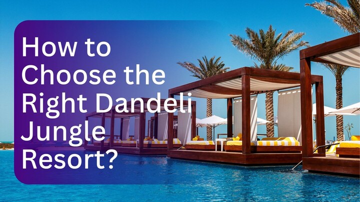 How to Choose the Right Dandeli Jungle Resort?