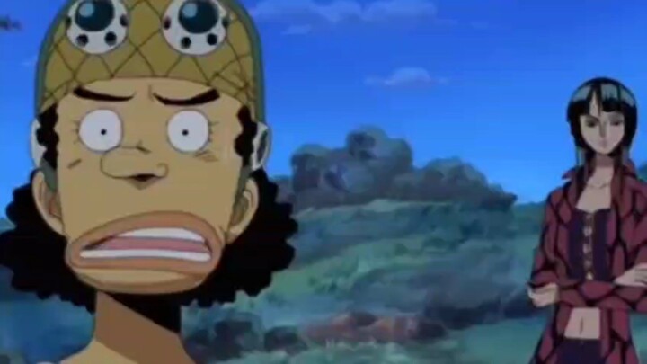 one piece lucu