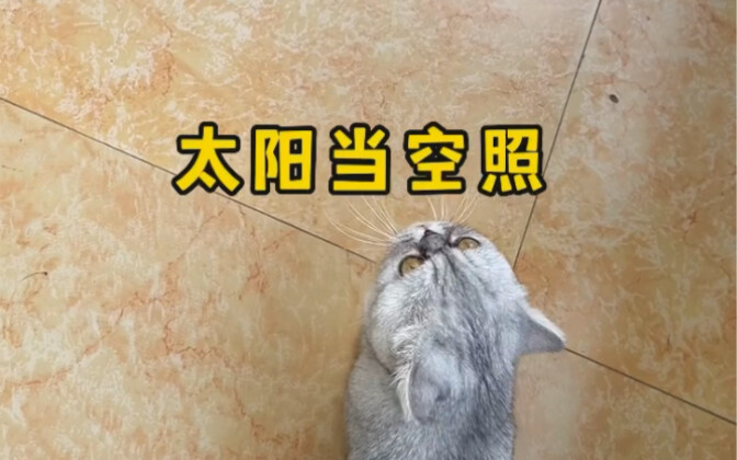 Should I sign up for a vocal class for my mom?