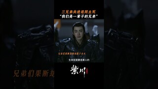 #紫川光明三杰 三兄弟永远为守护彼此而存在 #杨旭文 #刘宇宁 #张铭恩 | Eternal Brotherhood | 紫川光明三杰 | iQIYI