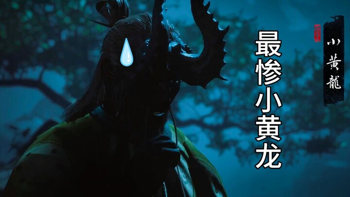 Đúng 64 cú đá, tôi đã đạp chết Tiểu Hoàng Long!