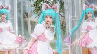 [North North] Hatsune Miku cos-music music-play pikiranku tentangmu tanpa henti