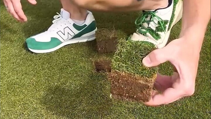 How to quickly repair lawn alopecia?