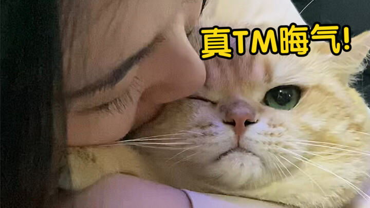 ตัวเอก: พระนางสือจี คุณเปลี่ยนแมวมาฮั่วฮั่วดูได้ไหม?