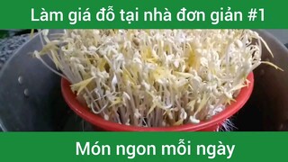 Cách làm giá đỗ đơn giản tại nhà p1