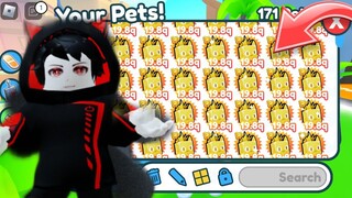 OMG !! AKU MENDAPATKAN BANYAK PET TERBARU DI PET SIMULATOR X ROBLOX|| BANYAK REWARD YANG DI DAPAT