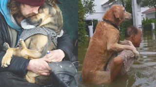 ช่วงเวลาพิสูจน์ว่า DOG เป็นเพื่อนพิเศษของมนุษย์ - สุนัขน่ารักและเจ้าของเป็นเพื่อนสนิทกันจริงๆ