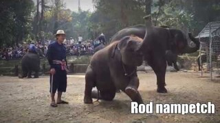 น้ำเพชรฉลาดทำได้ทุกอย่างจ้าาา👏👏👏