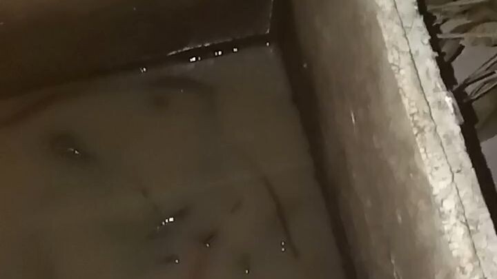 lumayan banyak hasil tadi mancing kawan