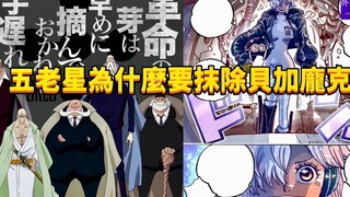 五老星为什么要抹除贝加庞克？#384