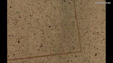 Clairebell Eps 03 [Sub Indo]