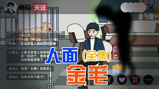 一口气看完【人面金毛】深夜，我在直播我家金毛大黄吃零食时， 弹幕却说狗是仁面犬