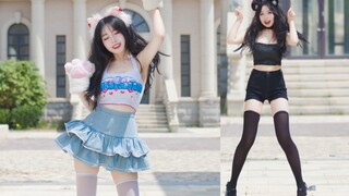 ❤ Học Mèo Kêu ❤ Chọn giữa đen và trắng meow ~