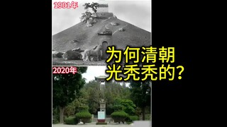 Didn't the land have trees in ancient times? Why does it look so bare?