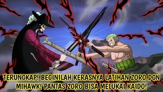 EPIC! TERUNGKAP BETAPA DAHSYATNYA LATIHAN ZORO DGN MIHAWK! PANTAS ZORO BISA MELUKAI KAIDO!