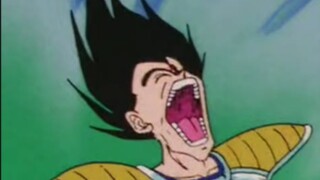 Saat pangeran Saiyan ingin bertarung denganmu
