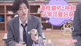 [道枝骏佑/金田一]天才侦探*悬疑带感*美貌逆天*直男追妻火葬场*吃货好萌啊！