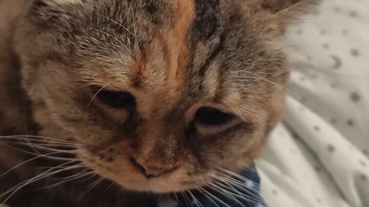 Mom actually can’t even lift me, this light-as-a-feather little bird!