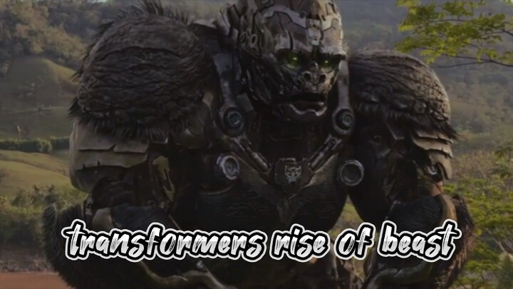 TRANSFORMERS rise of beast