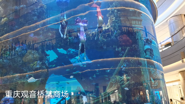 重庆某商场人鱼表演，还挺好看的