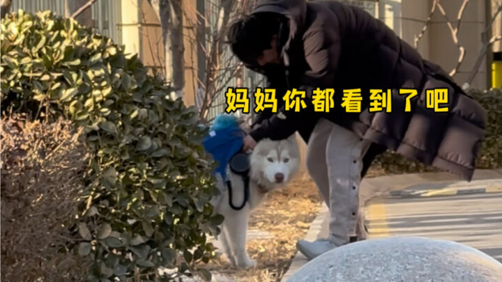 Pacar saya bilang dia lari 5 km hanya dalam 10 menit...