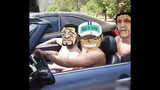 Akainu: Hey sweetie, do you want to put your ass in my new car?