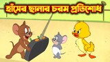 Tom and Jerry Bangla || হাঁসের ছানার চরম প্রতিশোধ