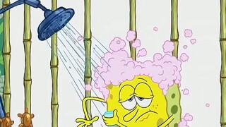 Squidward, cậu lại bắt đầu trêu chọc SpongeBob rồi!