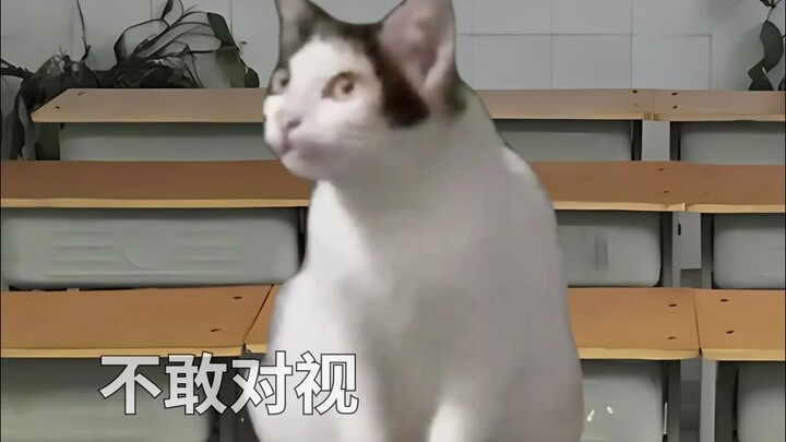 When the teacher asked me to pick someone to answer a question, this was how my best friend and I we