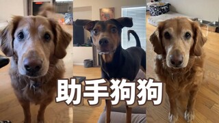 “你不生孩子那谁来照顾你？”嗯，请看VCR