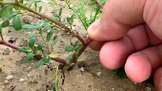 Bạn có biết ai không?