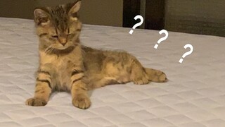 الساعة الثامنة فقط