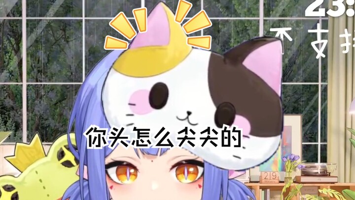 梓神你头怎么尖尖的，语言中枢疑似被阿诺控制
