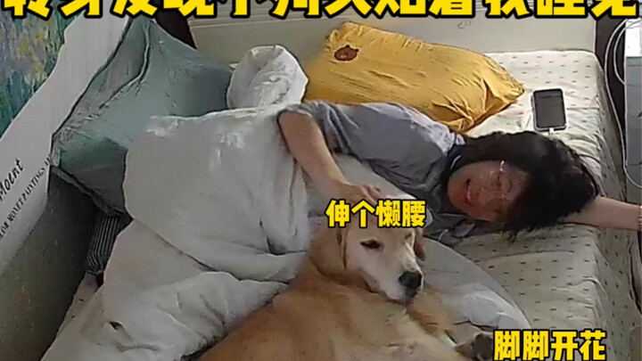 عندما تلتفت وتكتشف أن الجرو ينام ورأسه ملتصق بك!