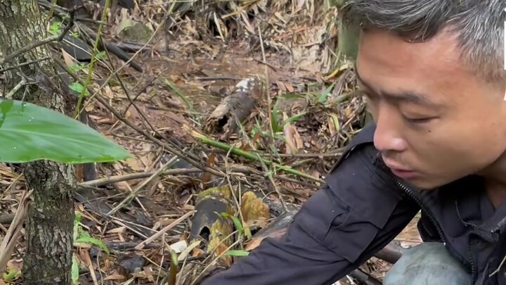 Yunnan Bamboo Worm Festival! Here's a detailed tutorial on how to chop bamboo worms! #RecordMyRuralL