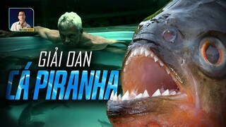 PIRANHA CÓ TẤN CÔNG CON NGƯỜI KHÔNG? BÍ ẨN LOÀI CÁ ĐÁNG SỢ NHẤT NAM MỸ I DISCOVERY