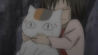带小孩的猫咪最后也要回家了
