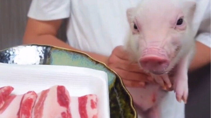 The World’s Most Controversial Blogger Ate Their Own Pet