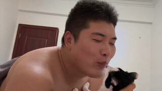 Immersive Cat-Flirting Experience