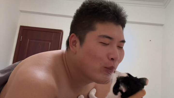 Đắm chìm trong việc vuốt ve mèo