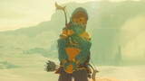 [Breath of the Wild] Observation of Link's expression and movement during his first women's wear