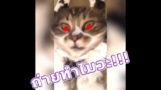 BestVines ฉบับสัตว์โลก EP.5 [พากย์นรก]