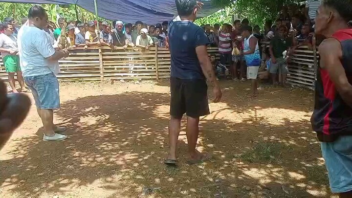 loss kanawayon (naputol sa tari)