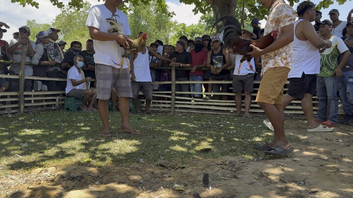 Papa m filipino warrior